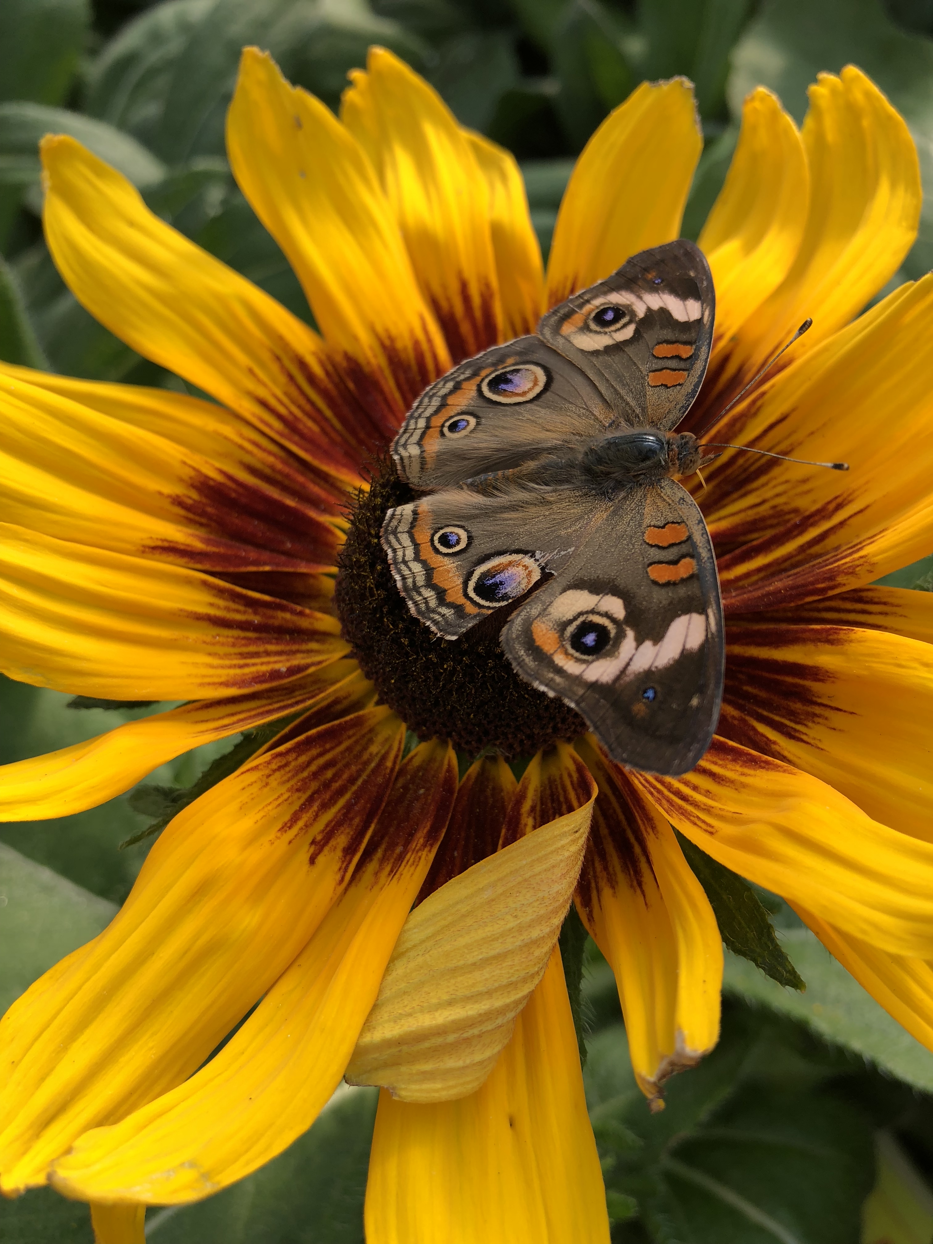 9B361DC2-3E9D-495B-B501-2DB99882A9D4