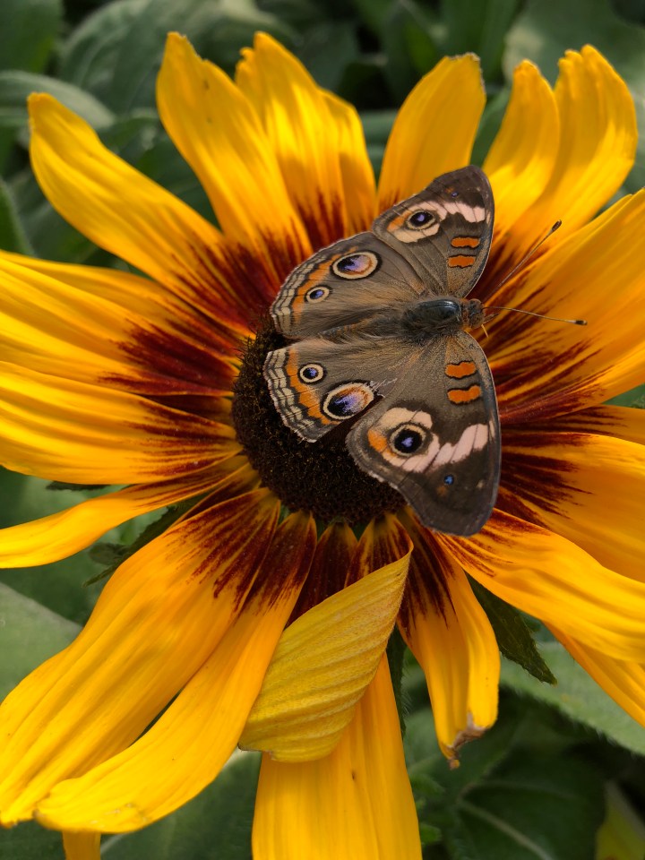 9B361DC2-3E9D-495B-B501-2DB99882A9D4