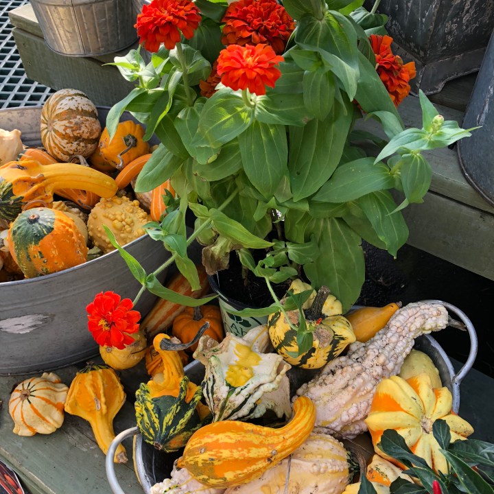 9EA4FE7C-5B73-4DD8-83BE-387B9C3F8435