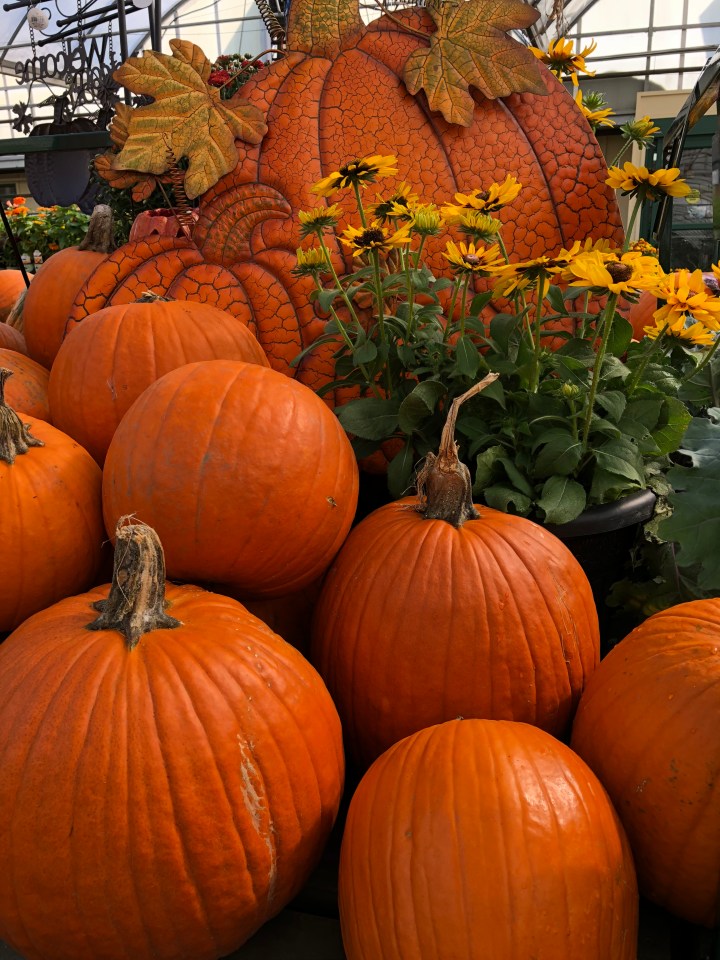 BA61DB1A-61C4-4B9C-91DD-B71457040E72