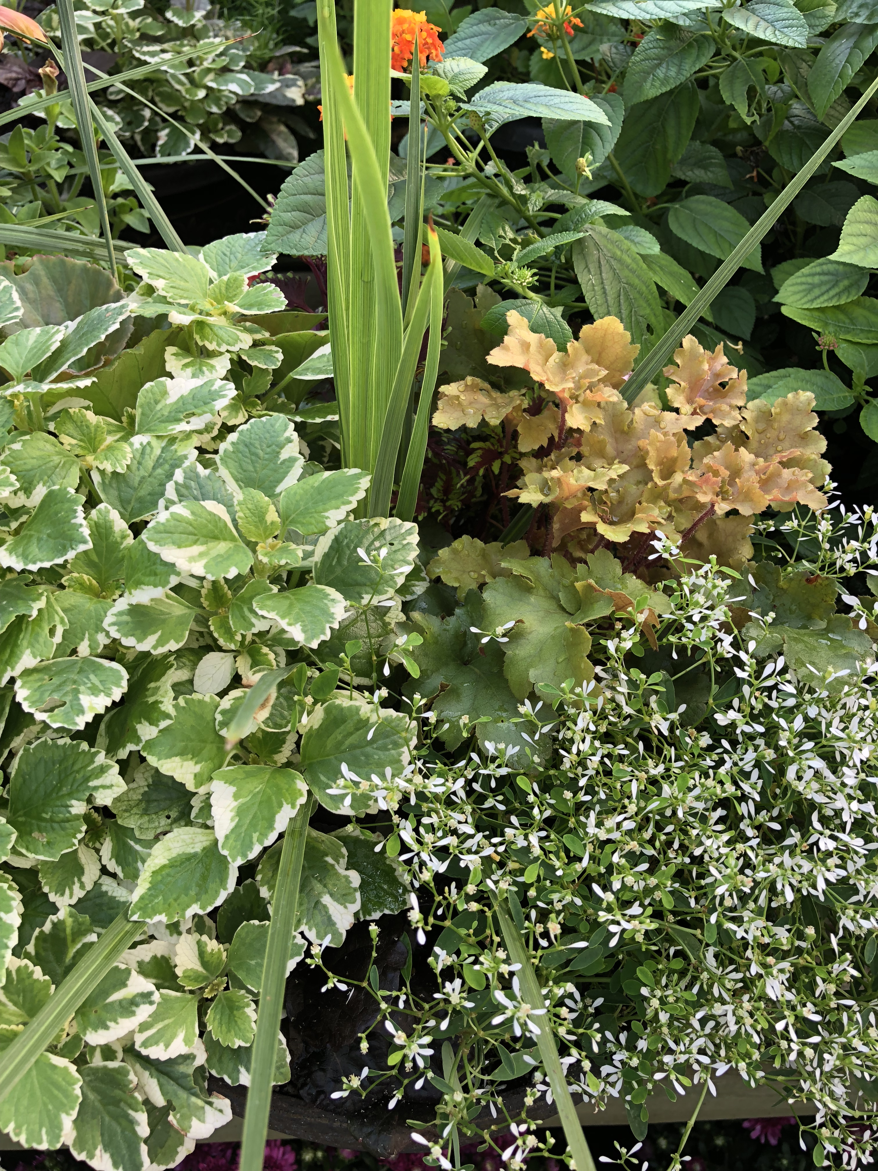 C156BEAE-F265-43E3-9922-FE541091244C