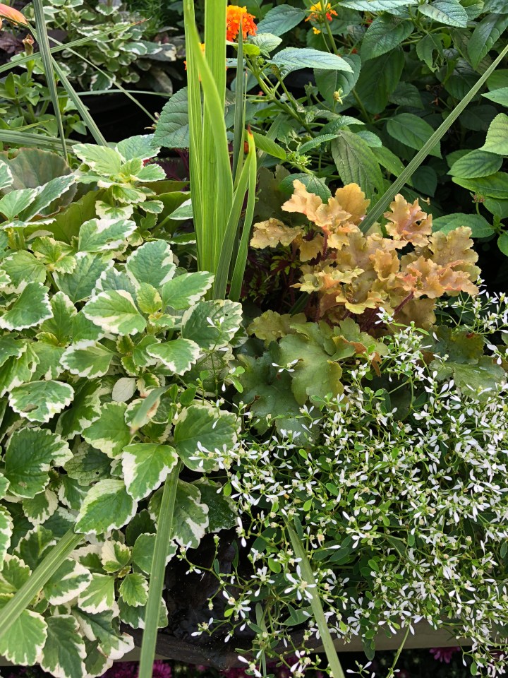 C156BEAE-F265-43E3-9922-FE541091244C