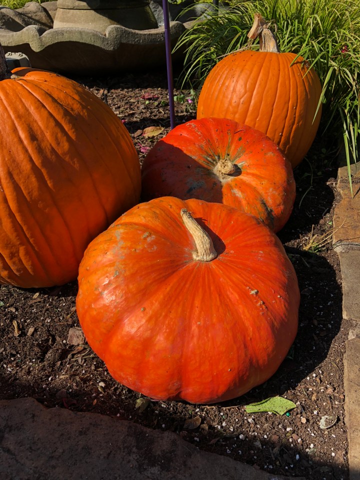 F8A5EE37-2BE8-43B1-9E38-0E0308DD9CE2