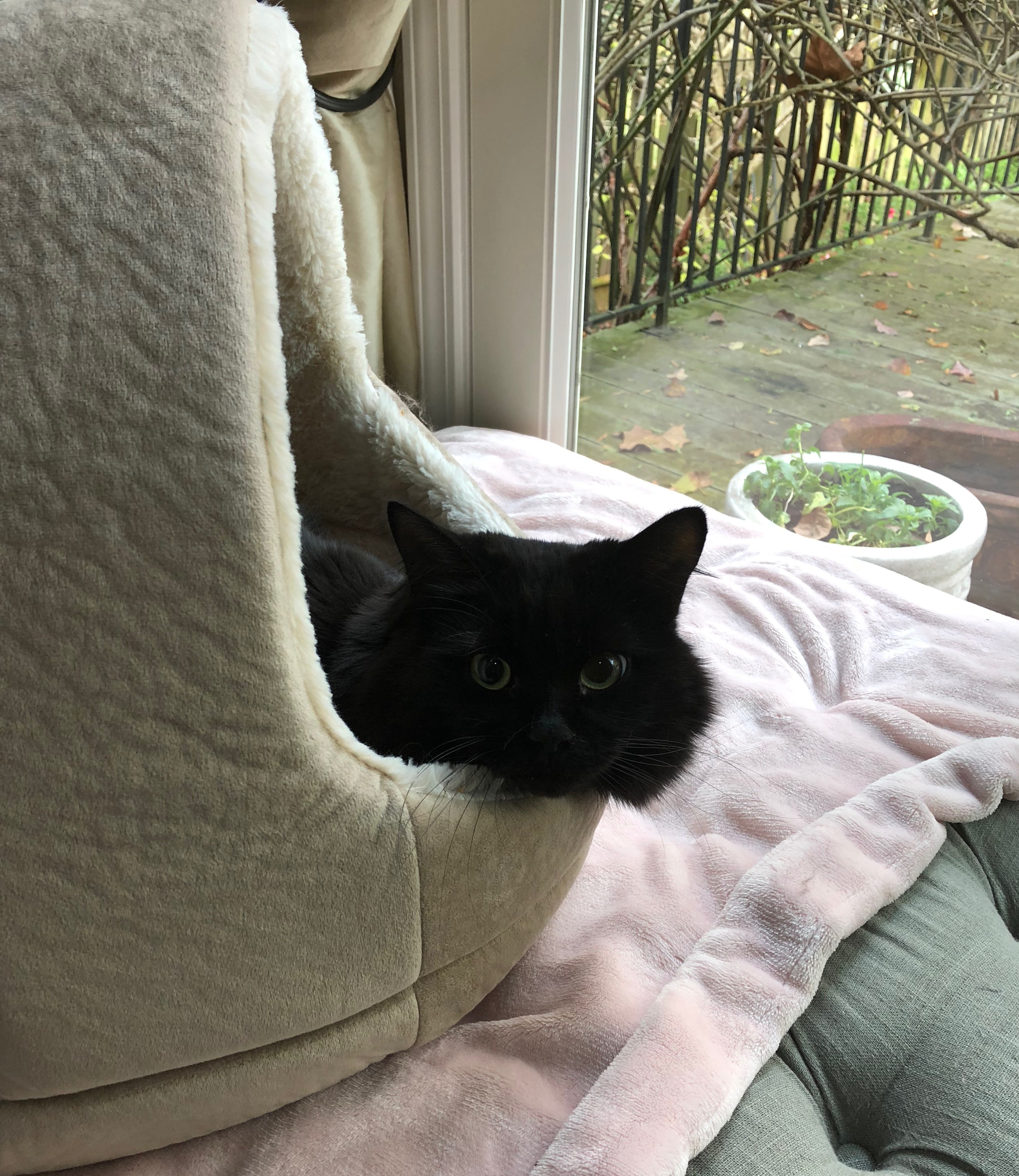 36819D21-7434-49F9-8710-2FB74D3007C3