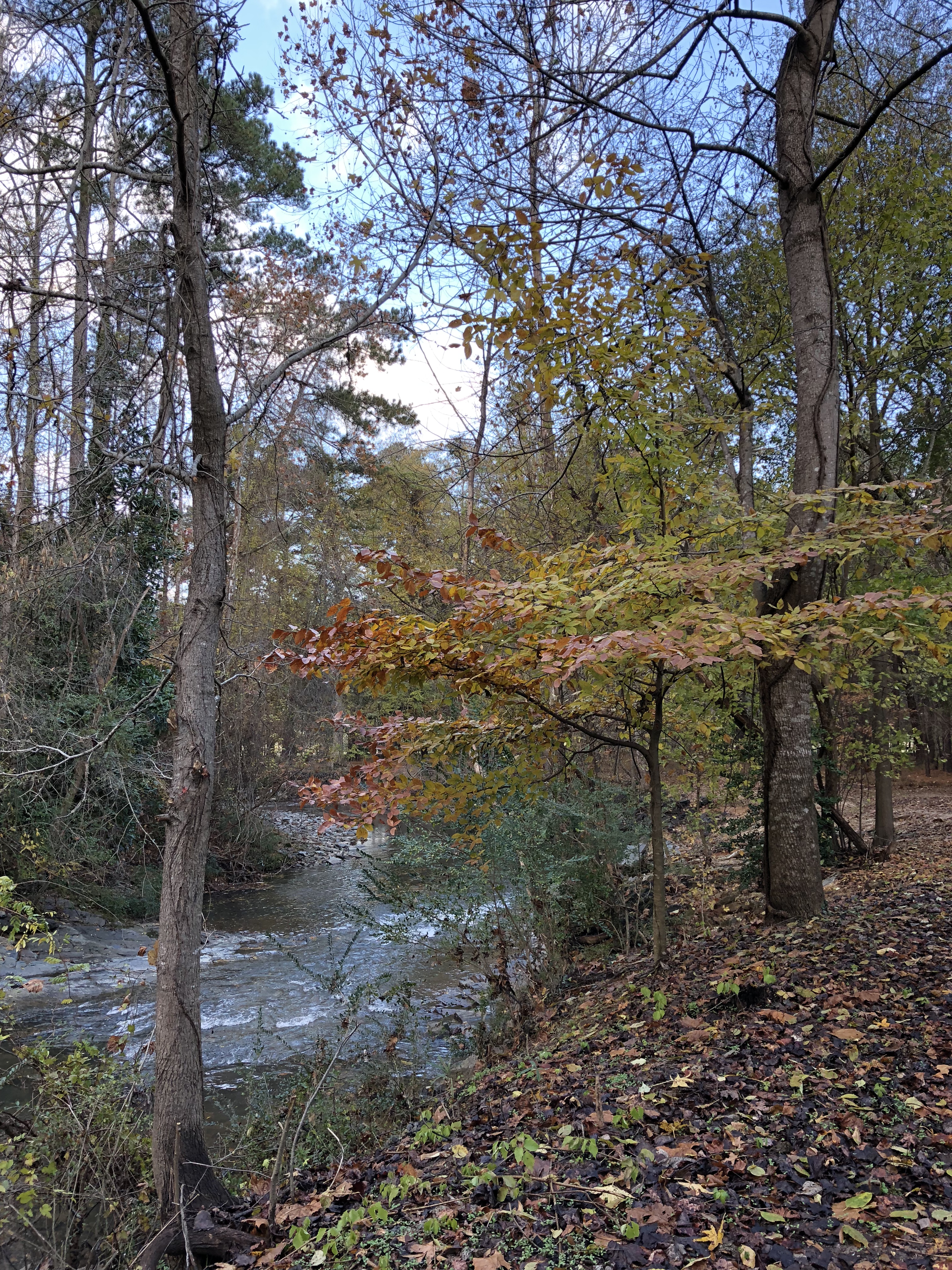 382C09F2-28D4-443B-B435-273BDC6238E0