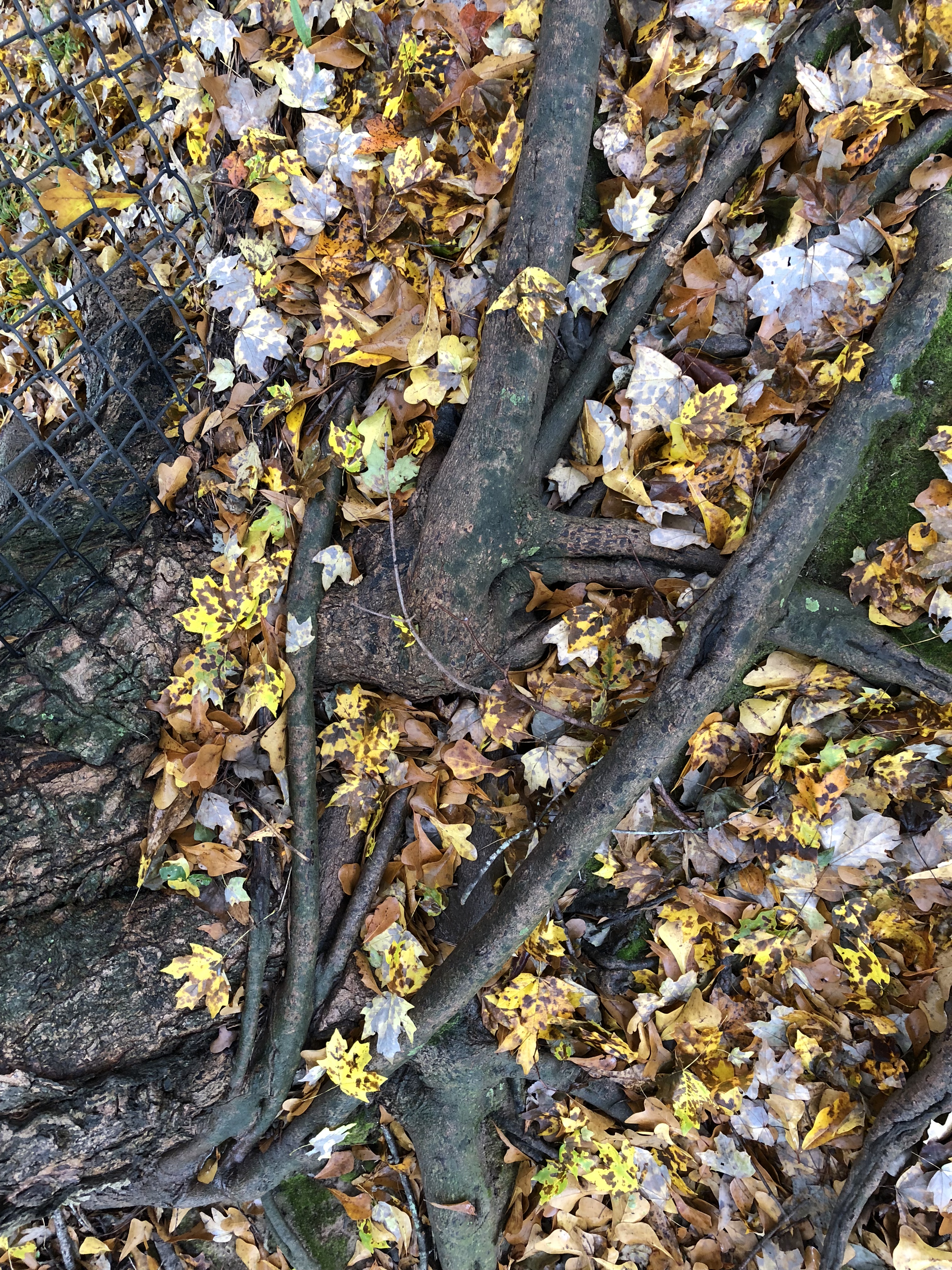 8D3AFDD7-5D9D-4E76-A68B-B02056F042BB