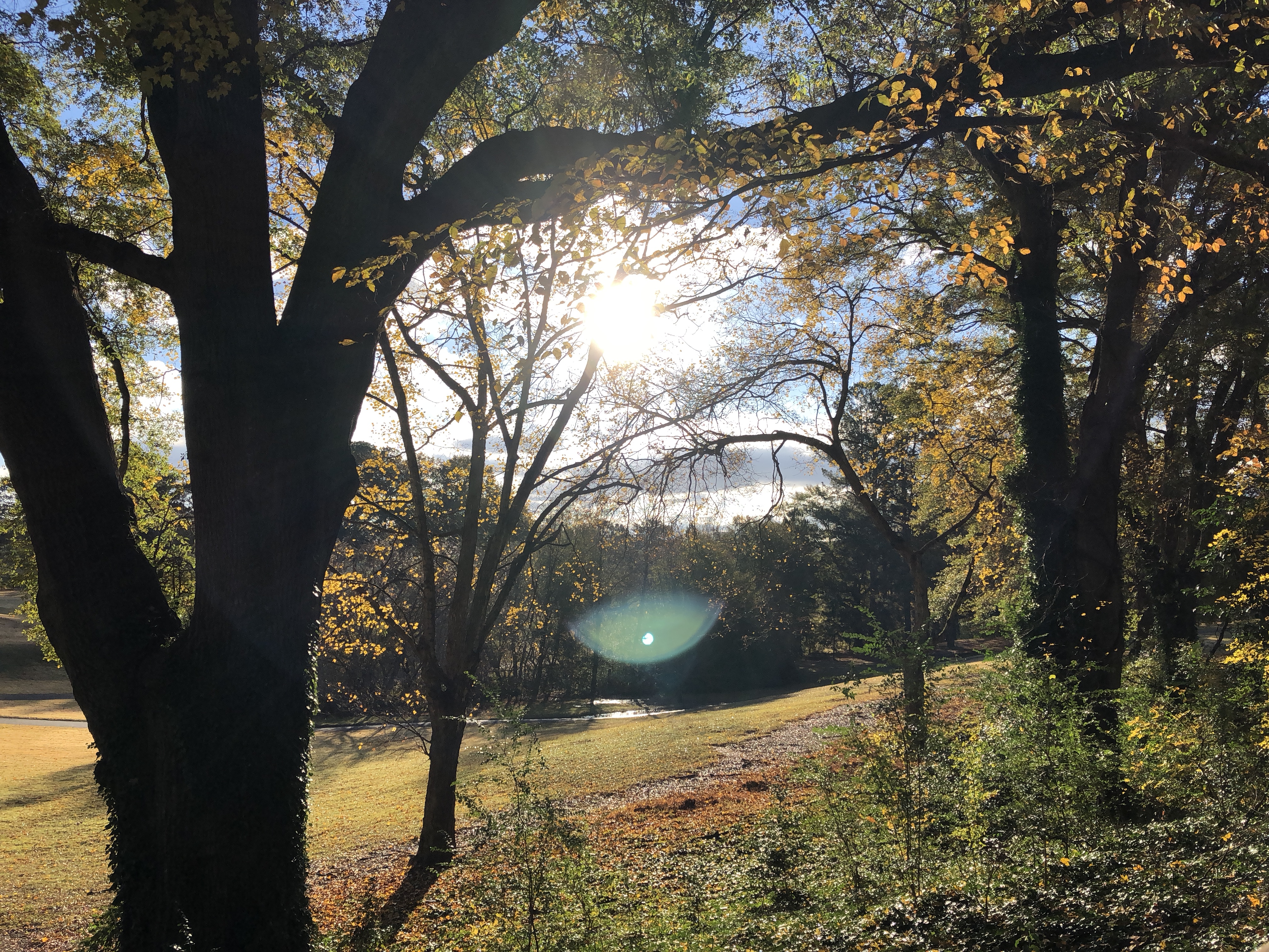 C26483E5-D1C5-40E7-BE31-672B85EED48E