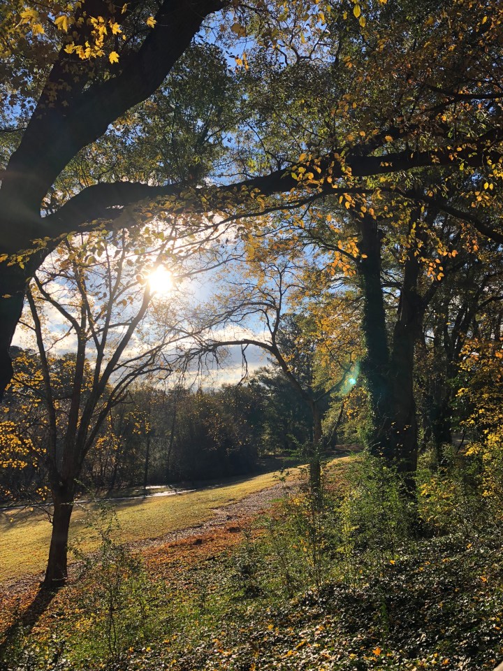 CE718A62-A64A-4482-8E1E-E6D48898E2FA