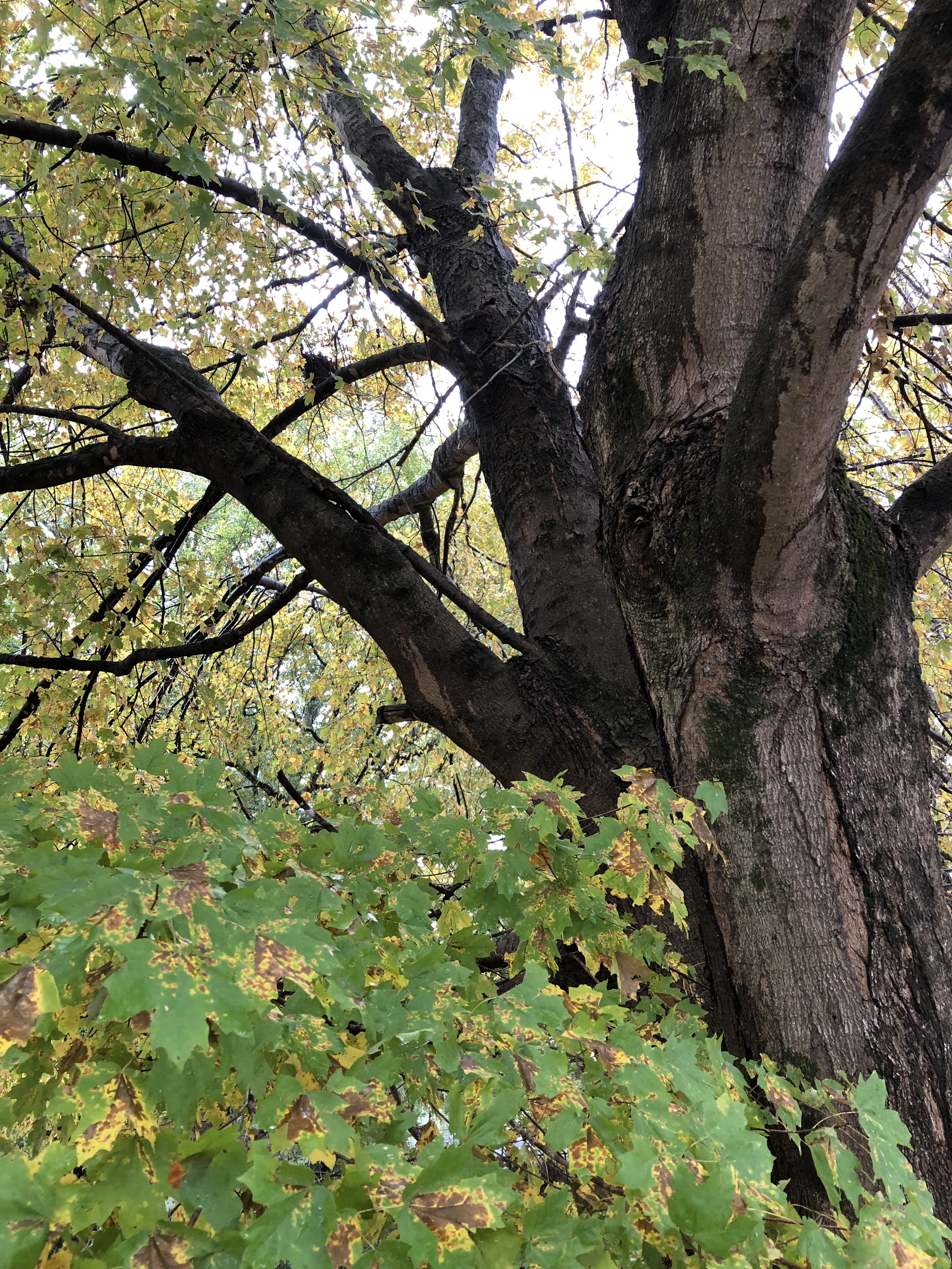 D41E7206-29CE-449D-96DA-010A627EB4BD