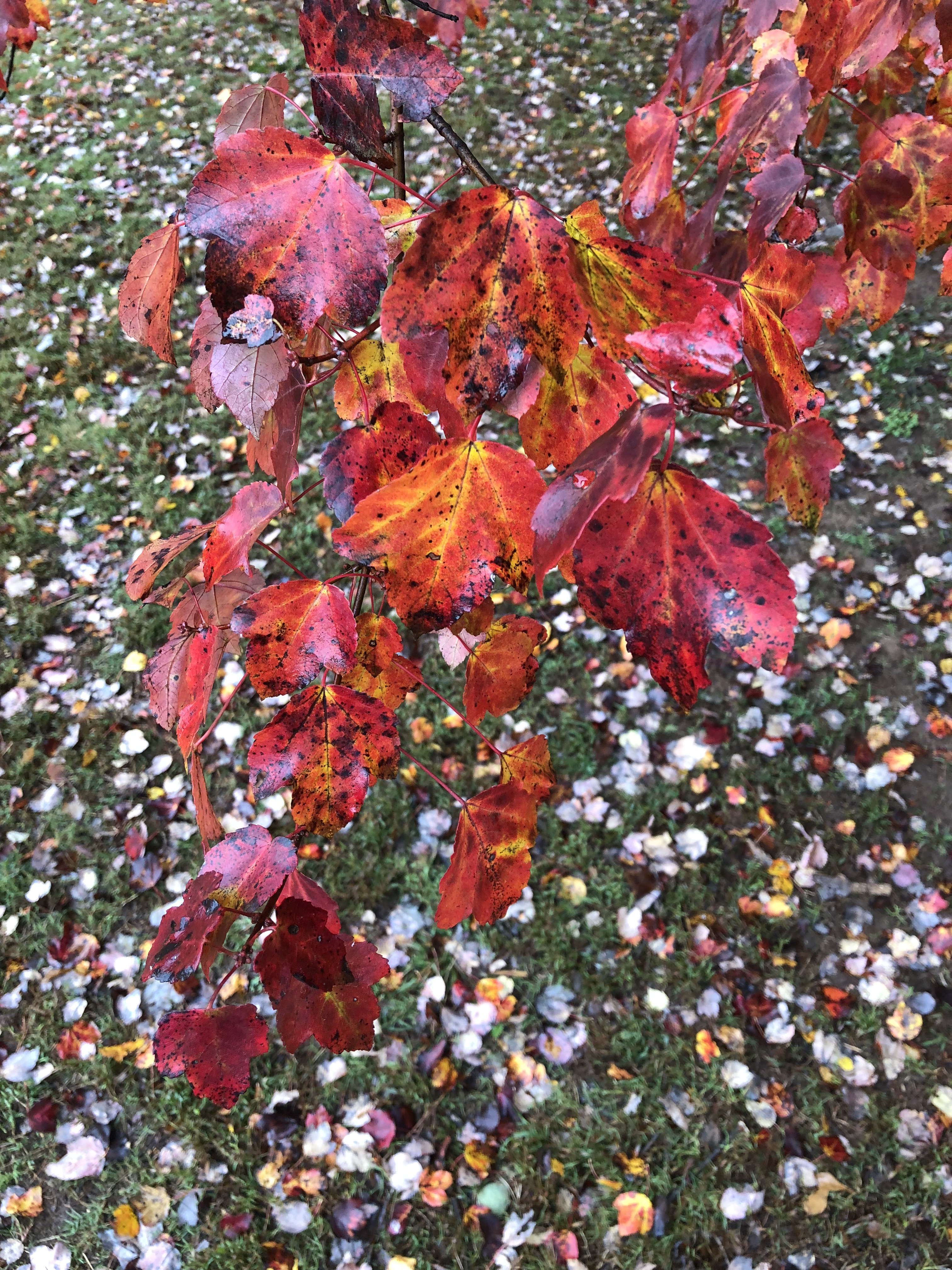 DB2D0235-77FE-4254-B57E-1ACA93DA6542