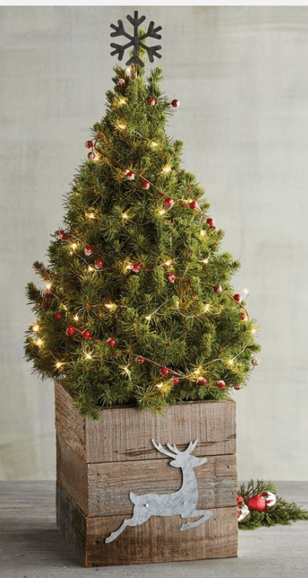 8E09CC8E-8B49-4C69-A358-4AB57DD0EF90