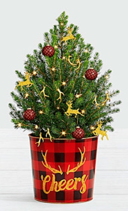 9D5A17FE-3A11-49AD-B2C8-A936E3C08C03