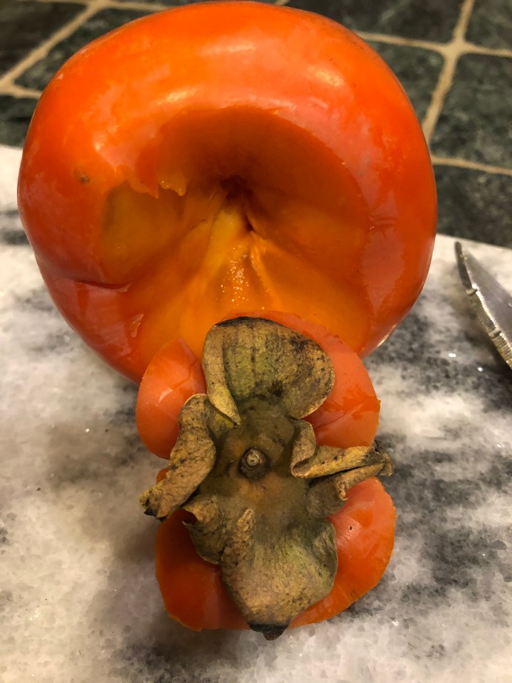 bce1cac0-08d2-4e9b-9d3e-b15bc9f5ac69