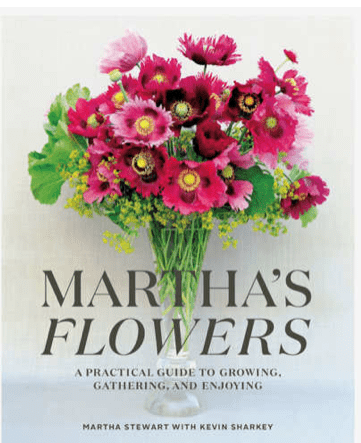 e47645c1-b94b-42c3-af1c-c8e780166f9e