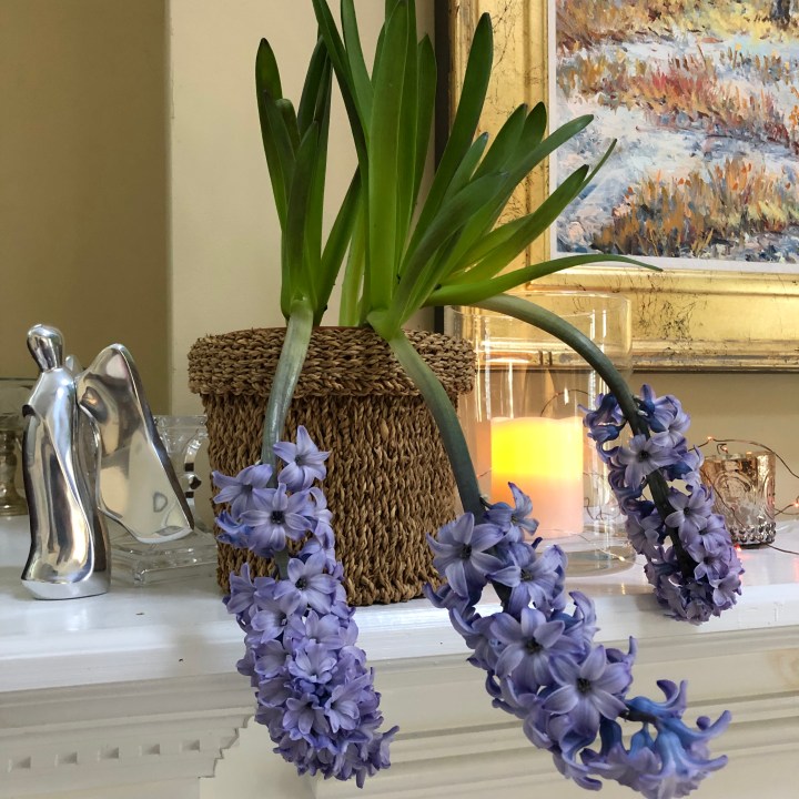 E13285D8-8776-4130-A69C-AFF78030E0F1