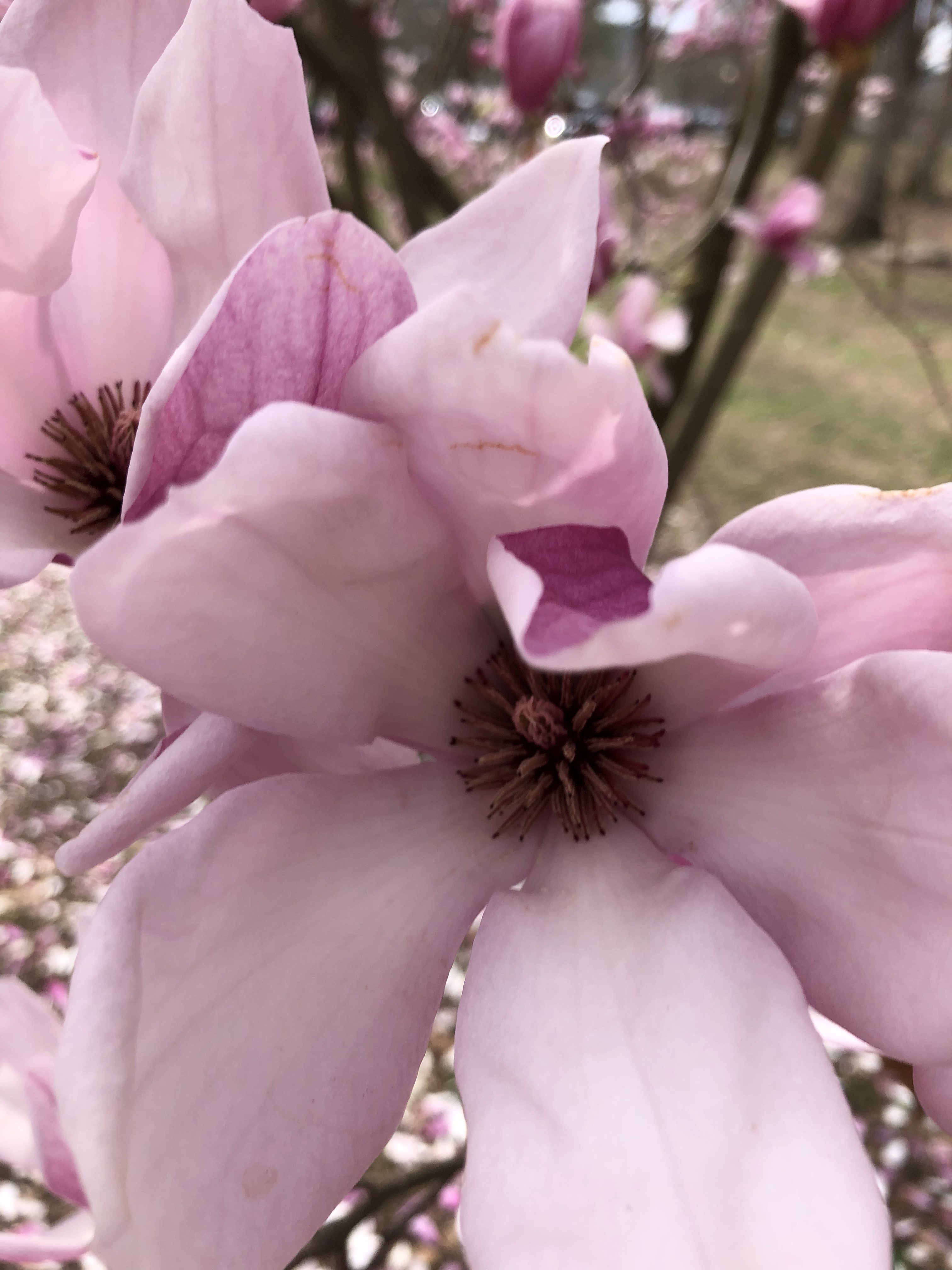 54922214-FF62-4C01-ABA2-05CDEBA848DC