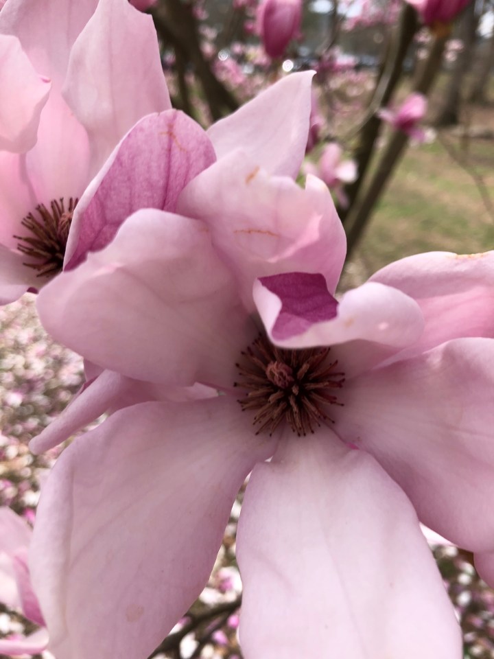 54922214-FF62-4C01-ABA2-05CDEBA848DC