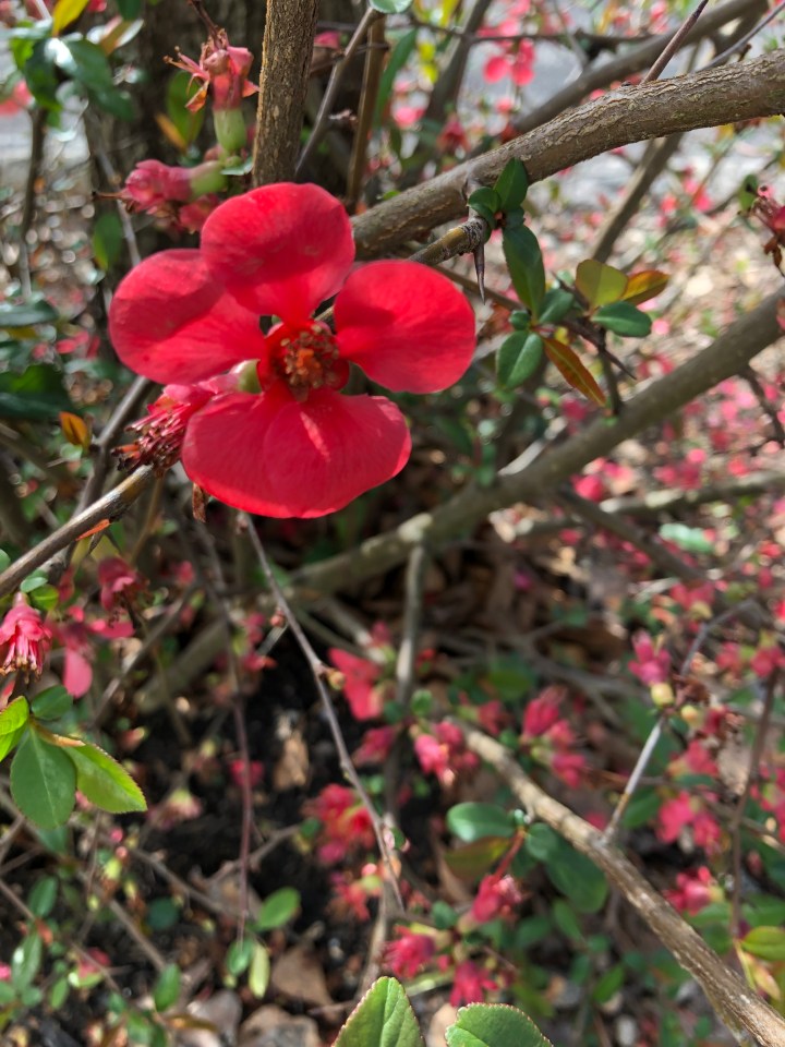 58D1602F-0544-4D08-9F9D-4C3D5099917A