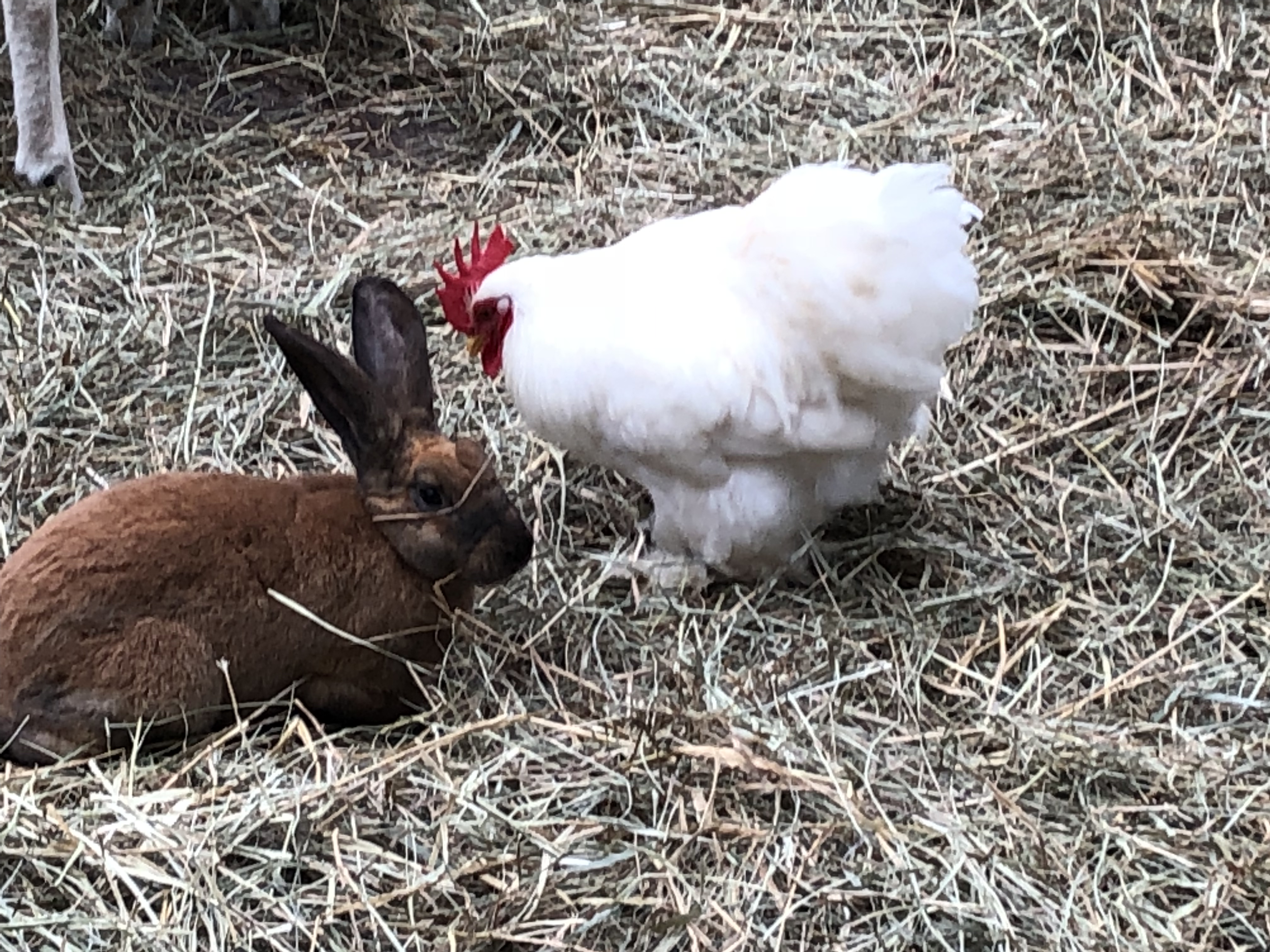 023FE0C8-0F3F-4671-8611-B1DA040D93BE