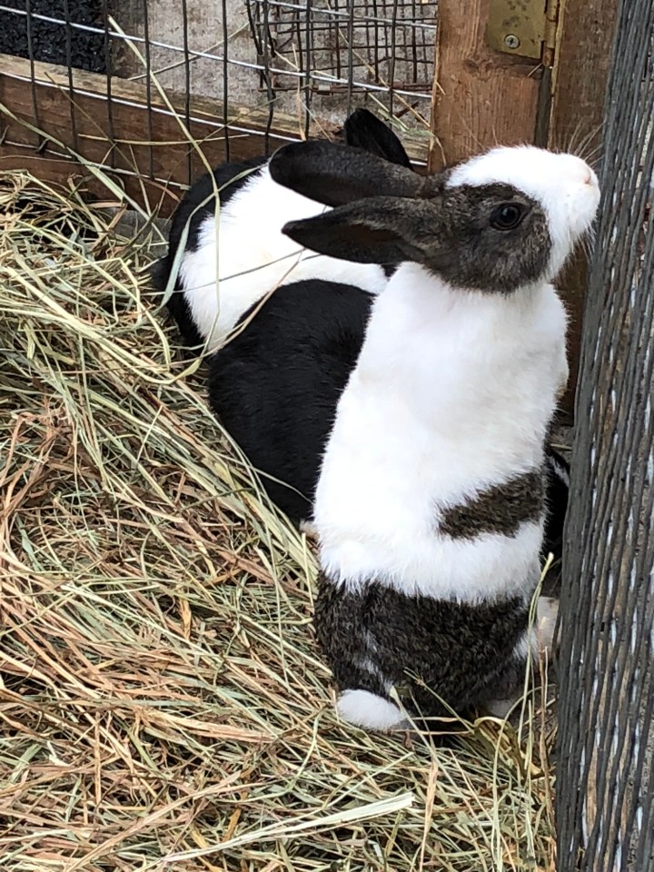 5A9BEC23-5DFA-489F-BB8F-F775079B0F7B