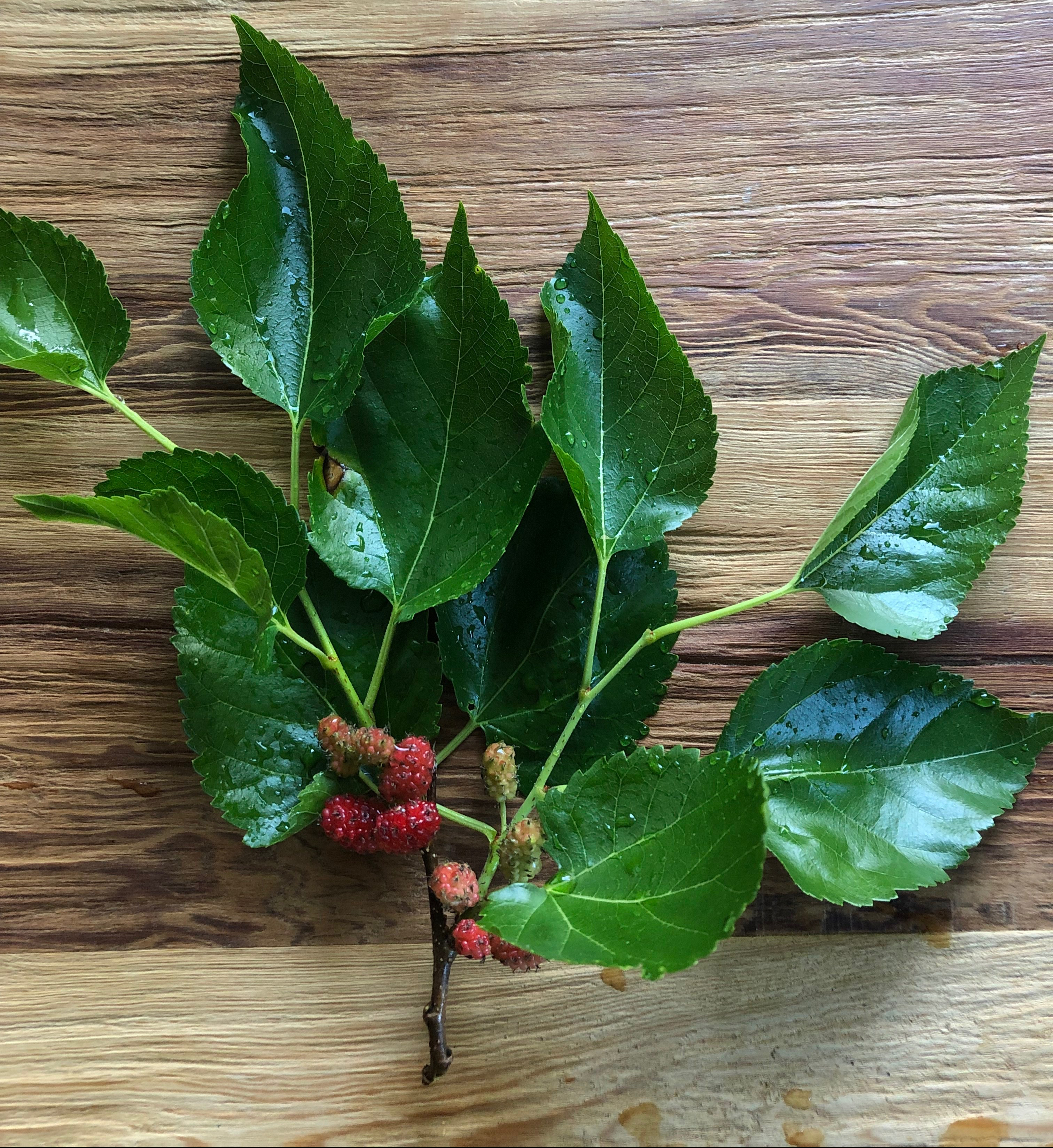 75C88900-BB59-4974-909F-D3EDDDC11345