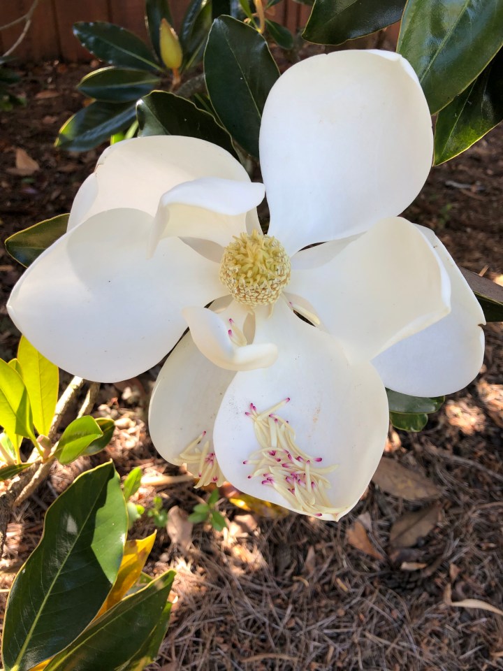 FEABDA4B-BAFD-4756-A100-6F141CF49C36