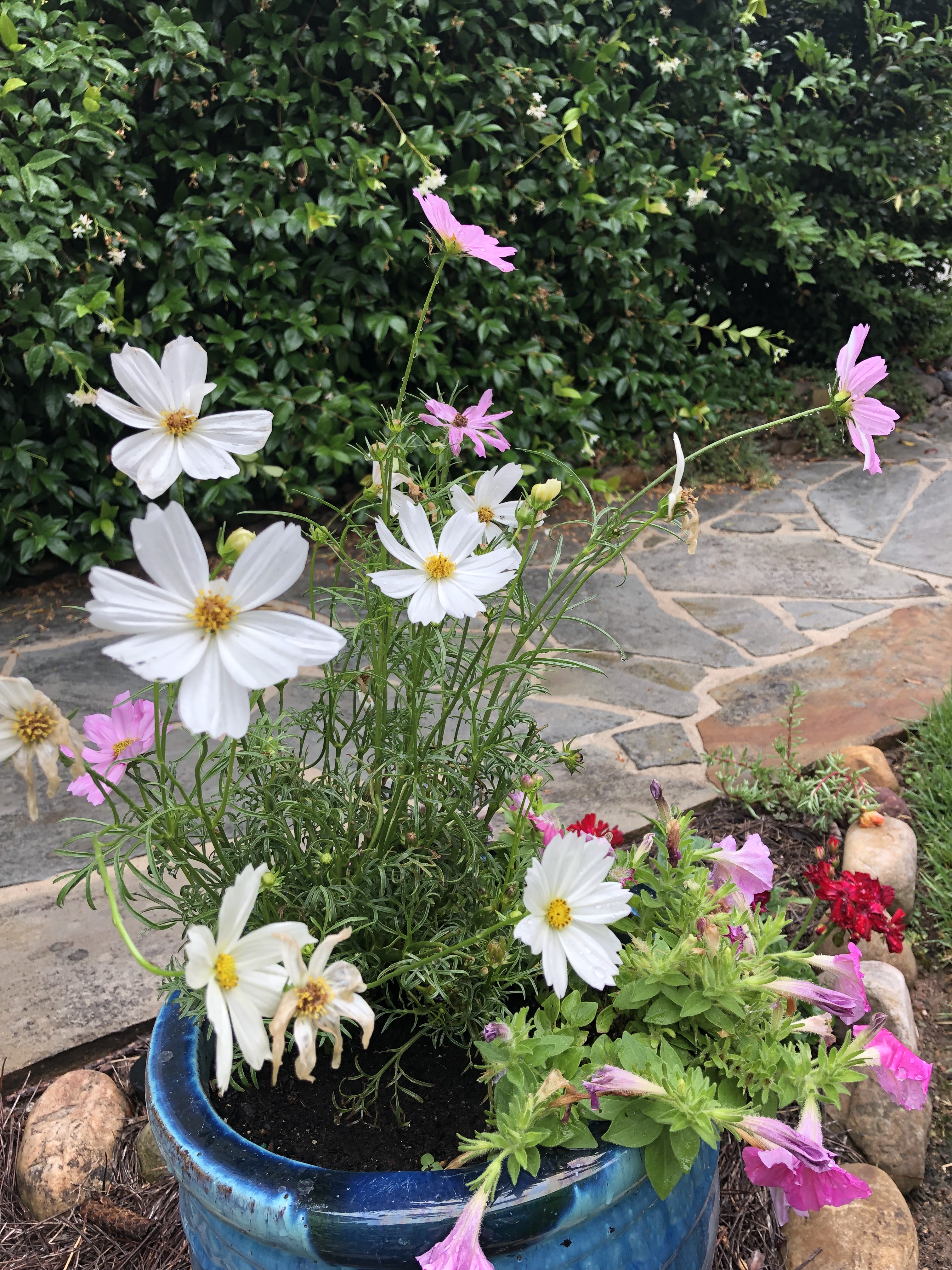 066982BD-18F4-45CE-9924-F2010E025193