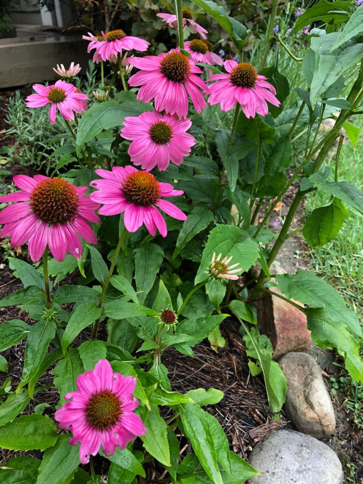 51DBC4B2-B80E-4C62-9B79-6F53CB2AC913