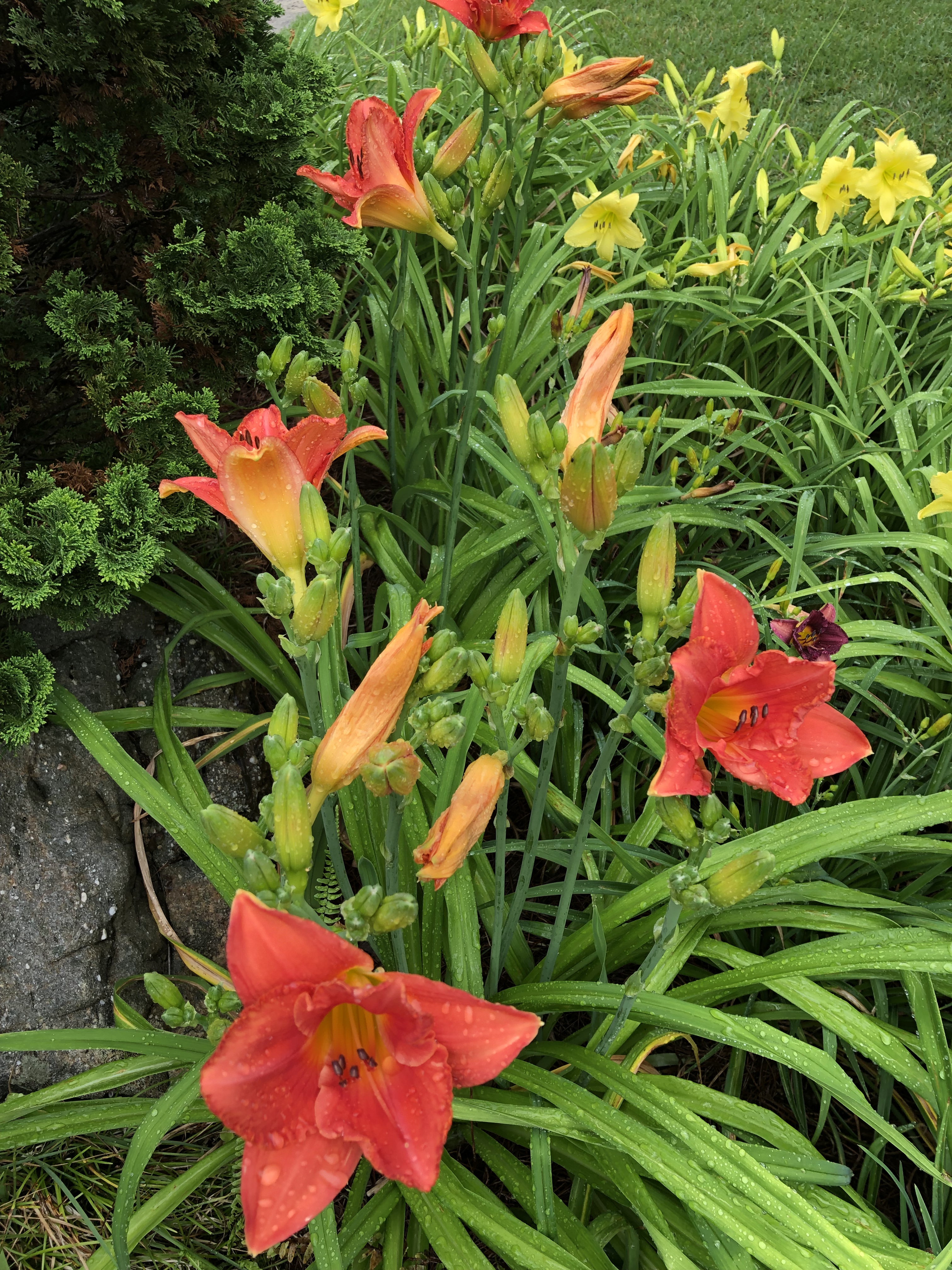 5CBD3D2F-6D6F-48D4-8818-45666513F0DE