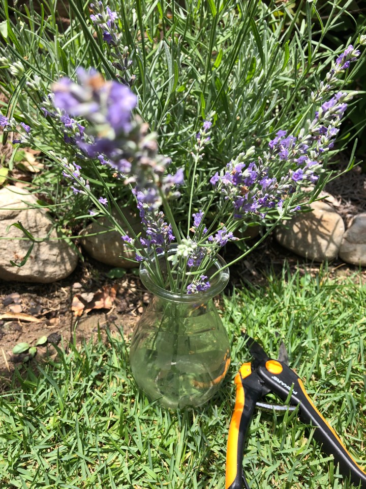 647D849E-9EC3-402E-AABB-9E967CB9D730