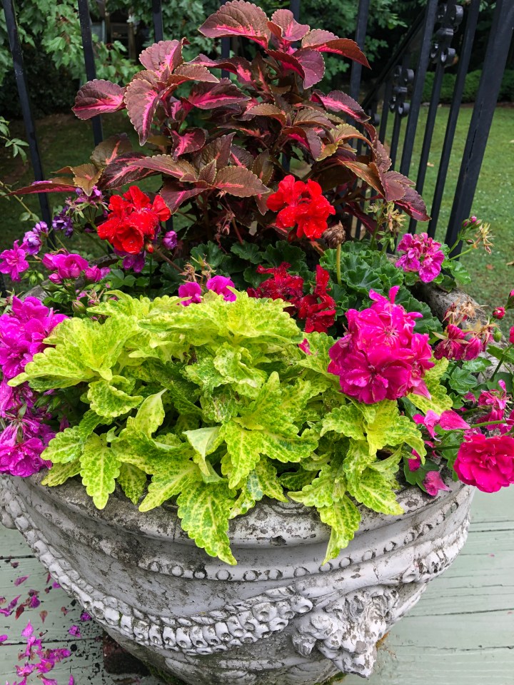 92BC2749-FA3B-41B1-BC5F-8EC661D90F93