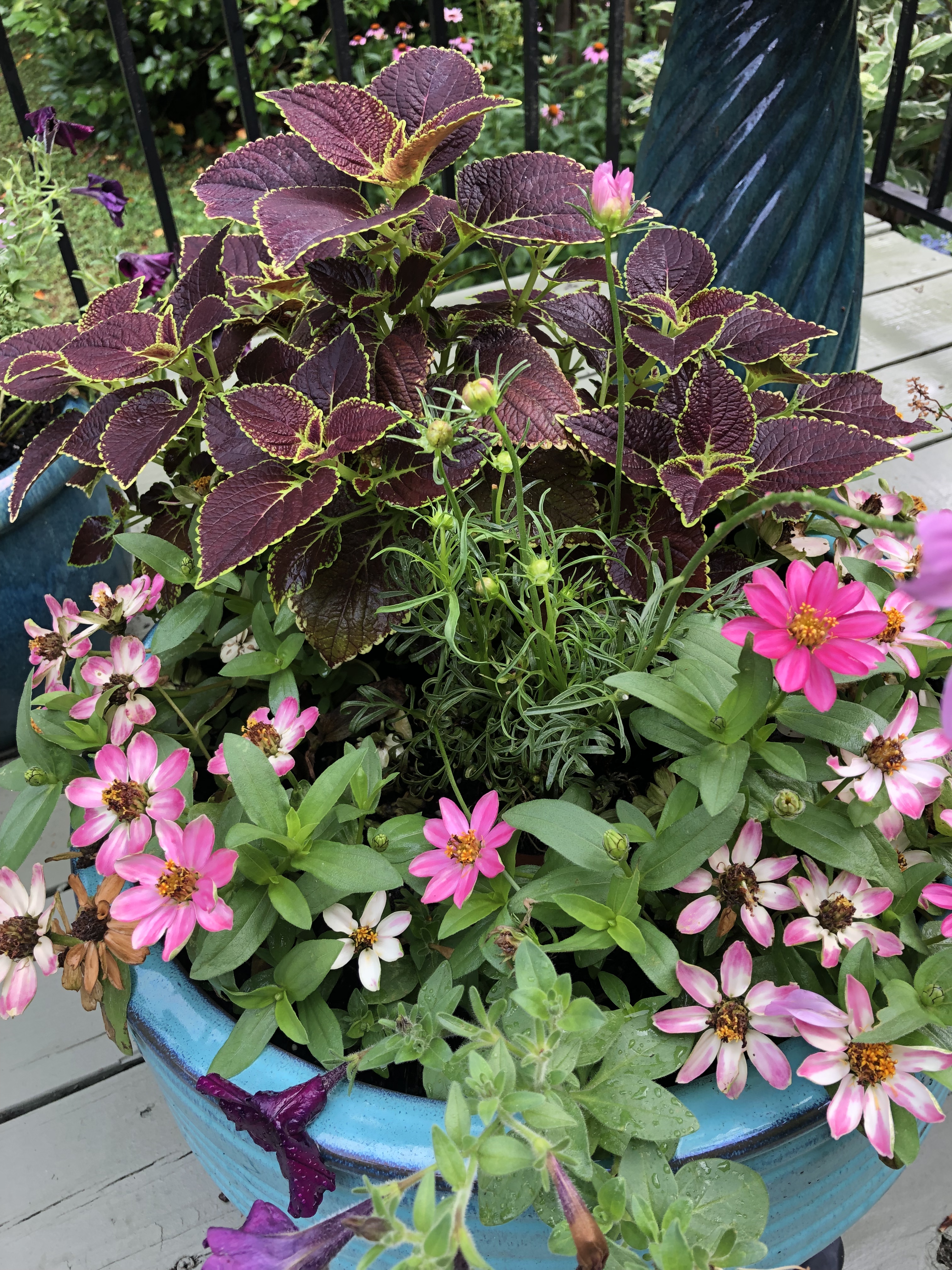 93375669-8B30-4F22-80B7-FECB5F9A34AB