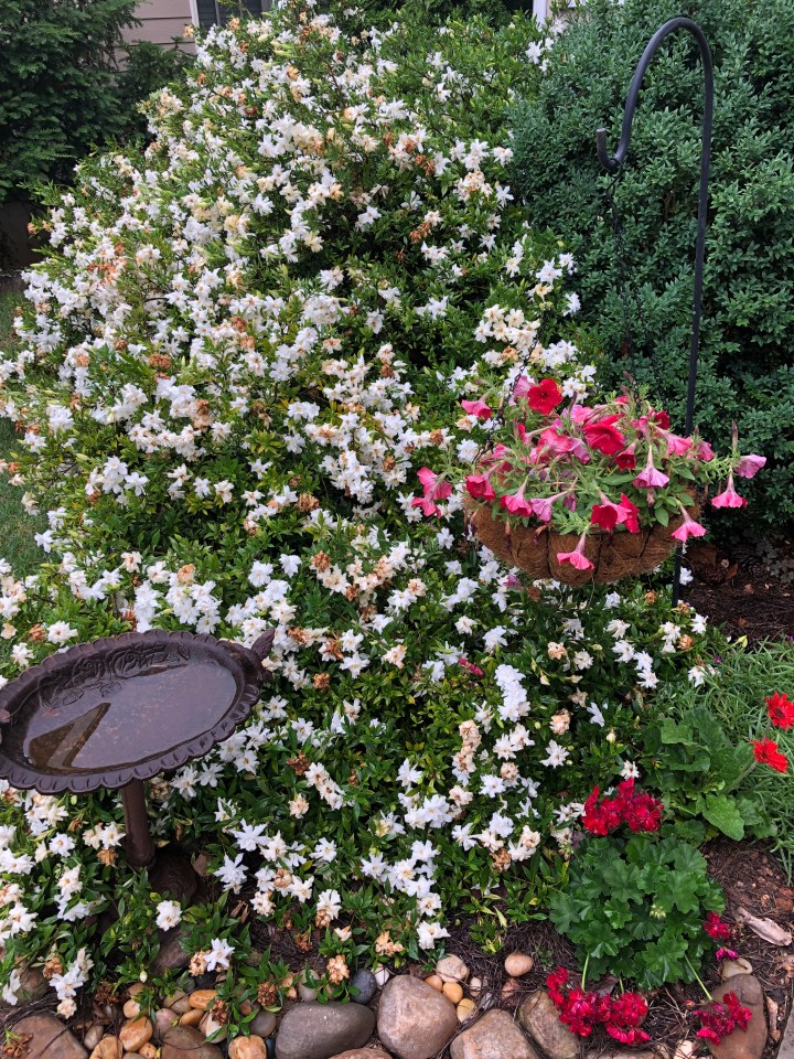 93AF2022-3805-4570-A4F8-85651FE9410B