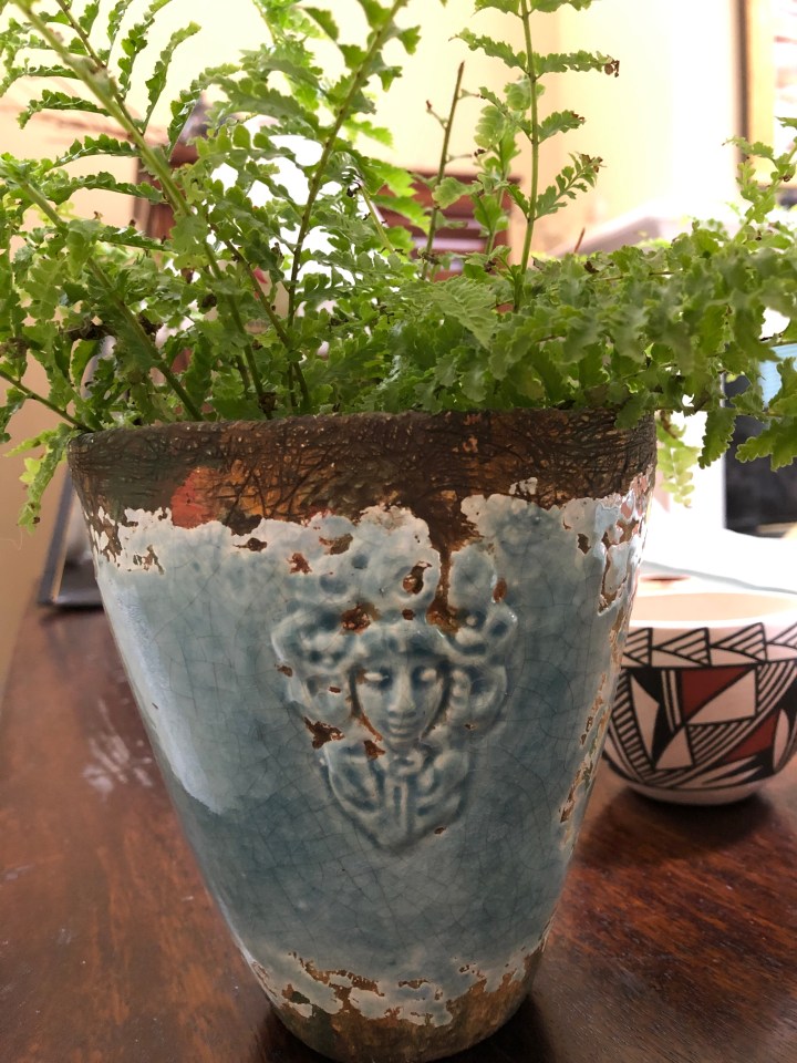 A8BA8165-F0EF-4EEC-88CA-E47310278672