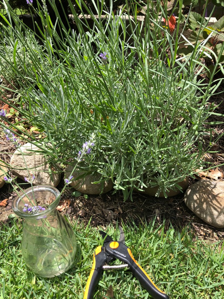 AFB2CD3C-8341-43DB-B687-9FECB15B21C7