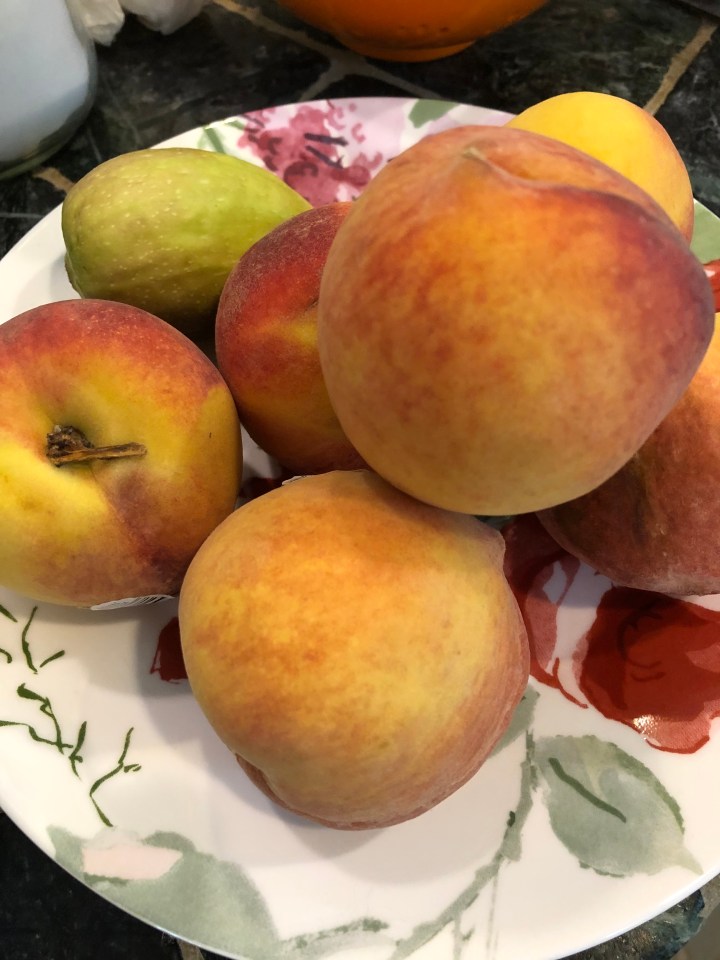 B72FBAEC-9F3E-4822-893E-BFD3C98956FA