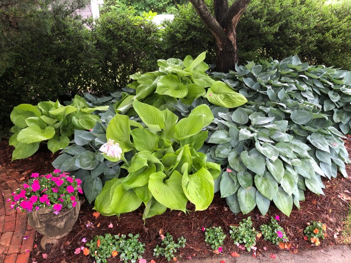 BE073E19-4DCA-4381-8D50-730707378828