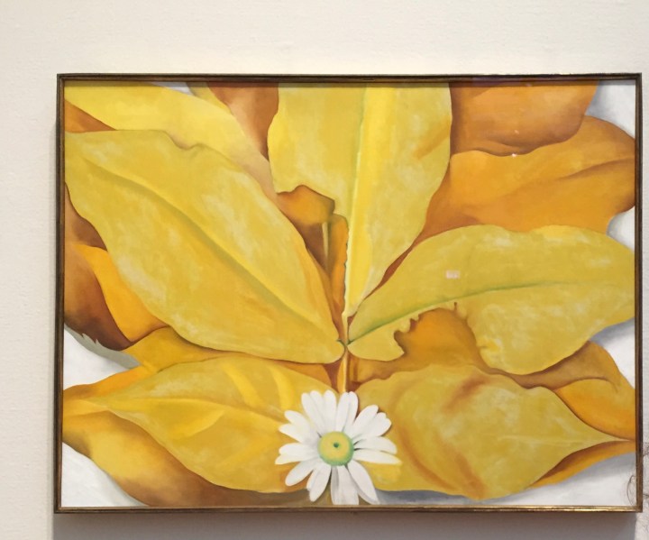 CF59919B-3460-4B45-967C-9E58F04E984F