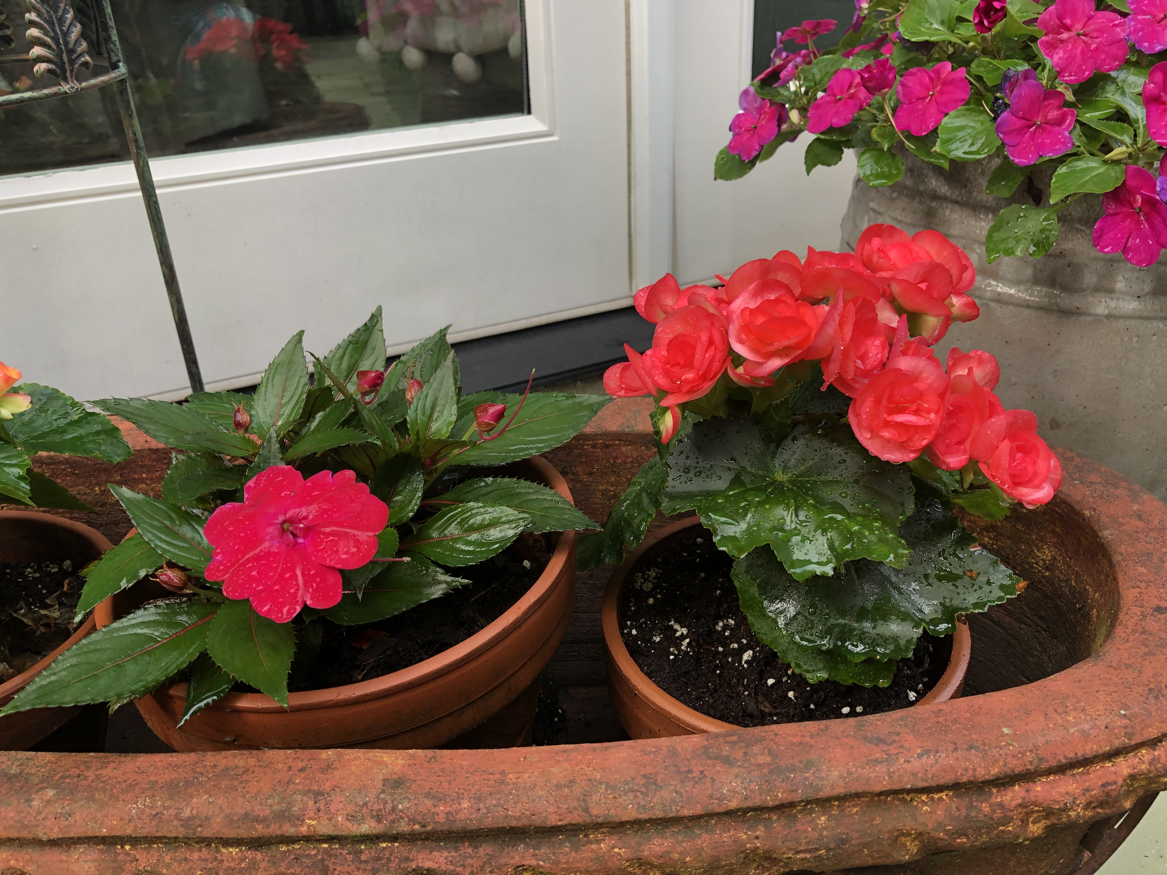 D2FEA9B0-F76C-4A34-8E7A-2871A01E7A16