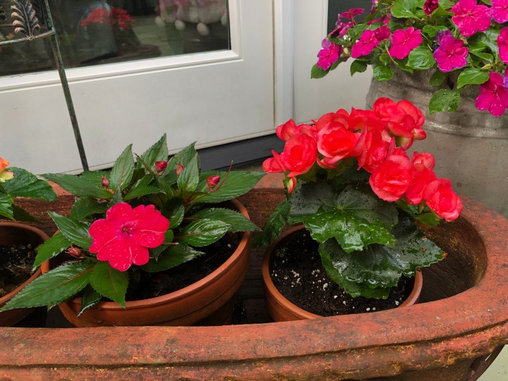 D2FEA9B0-F76C-4A34-8E7A-2871A01E7A16