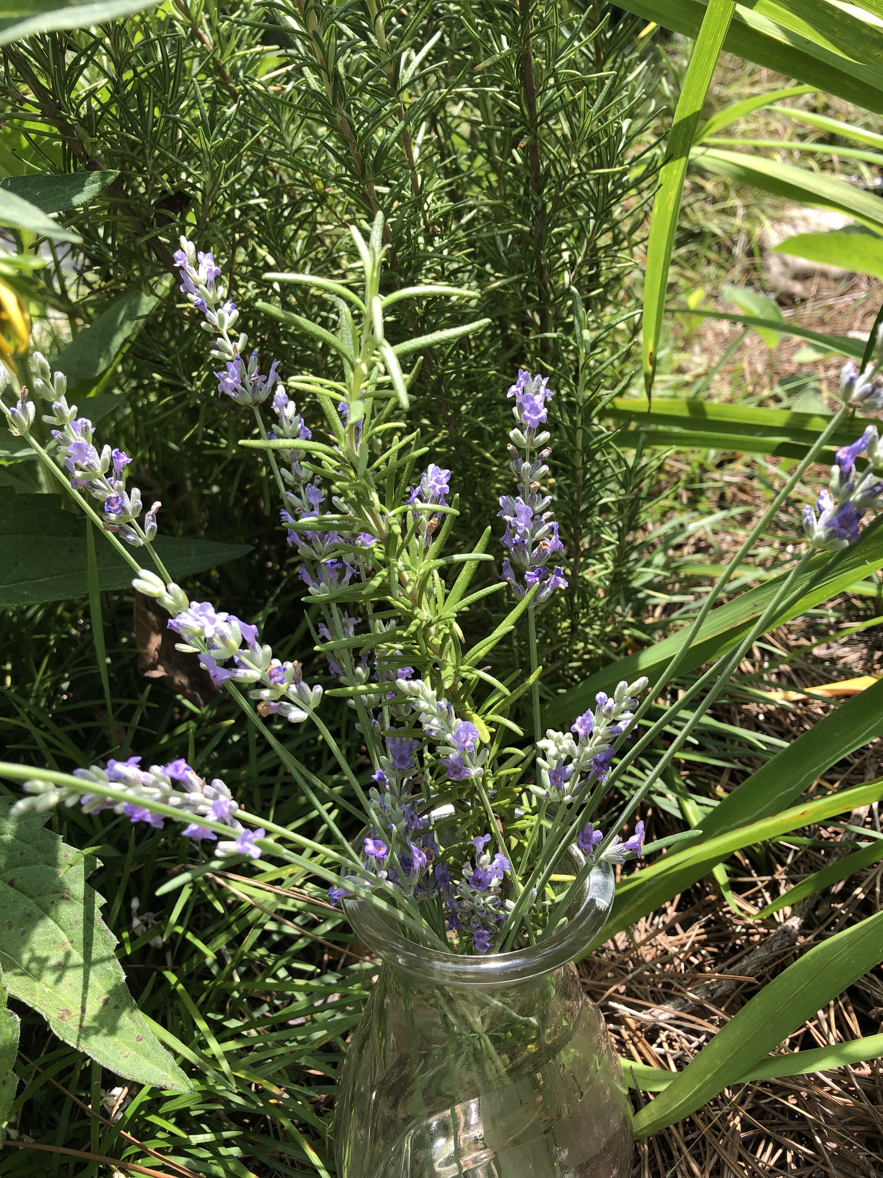 E2C545E4-2724-4A86-8ECF-47C19637B5BD