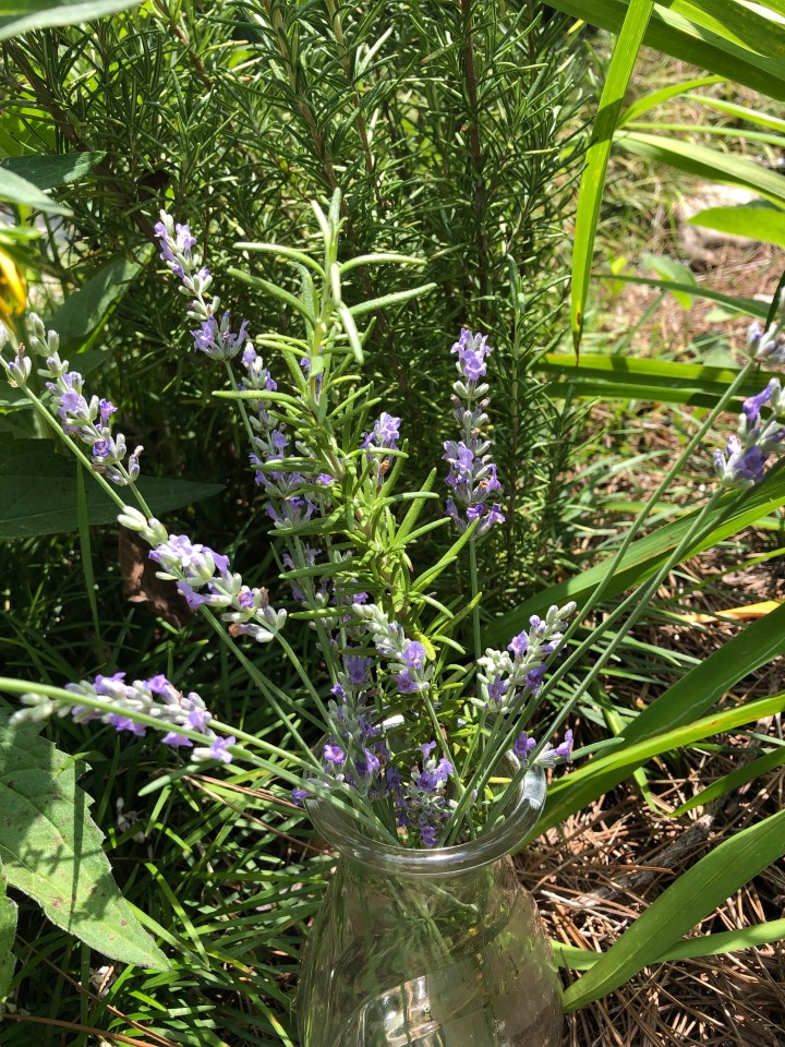 E2C545E4-2724-4A86-8ECF-47C19637B5BD