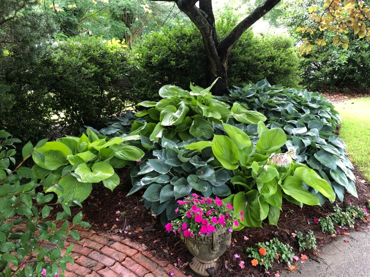 E579C7F3-3583-44AE-9189-082445EA0E11