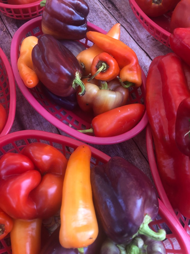 3A4BF558-1647-44F7-B178-9CE9C0E5BCCA