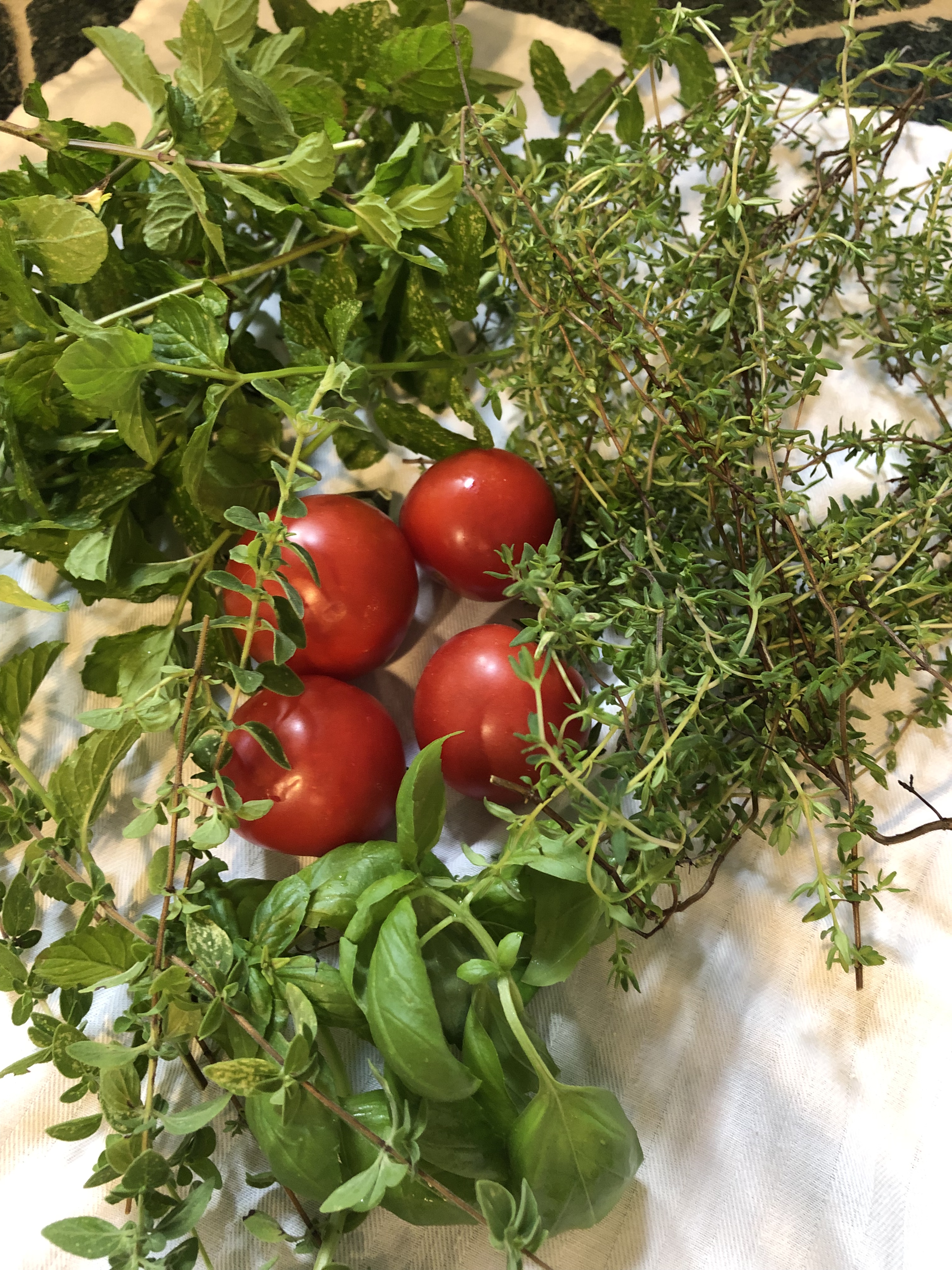 46227964-9558-48AA-9D3F-CD94AAD0BA13