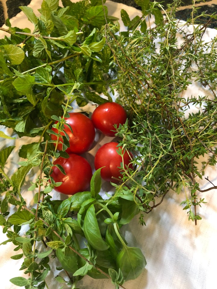 46227964-9558-48AA-9D3F-CD94AAD0BA13