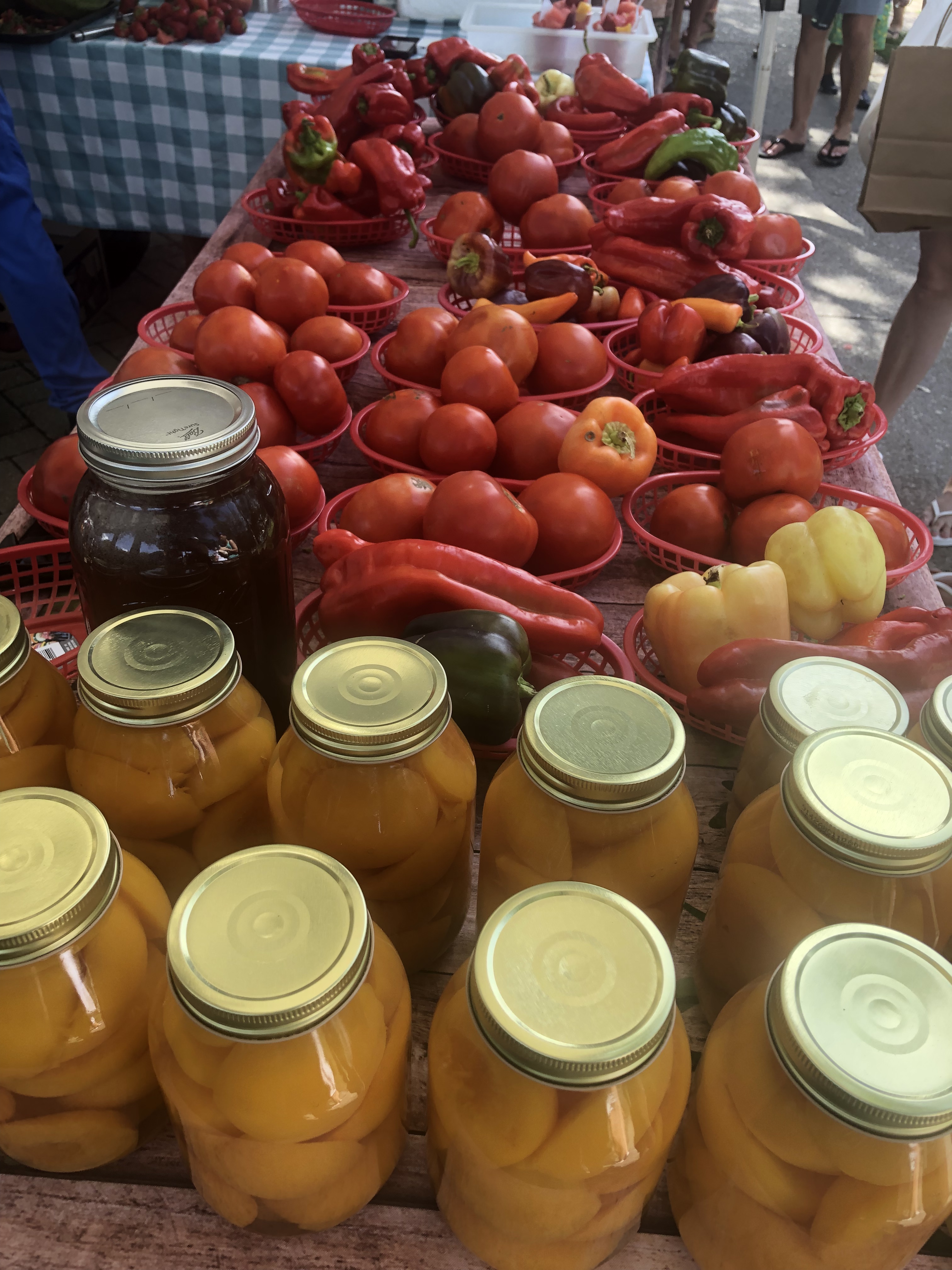 55F75E91-5891-42DD-B8EA-FE5C2335A730