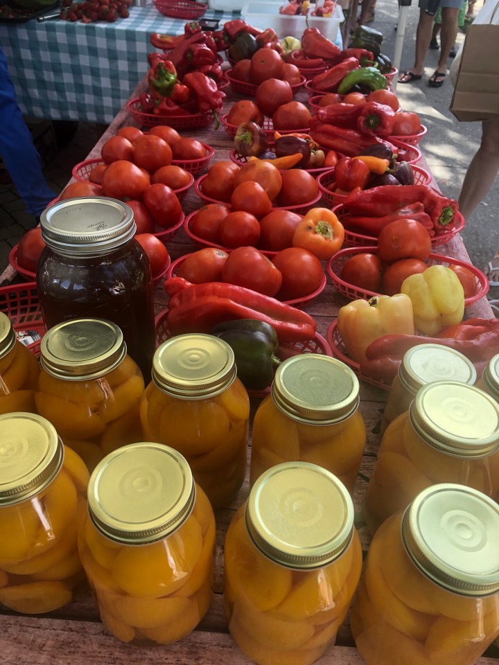 55F75E91-5891-42DD-B8EA-FE5C2335A730