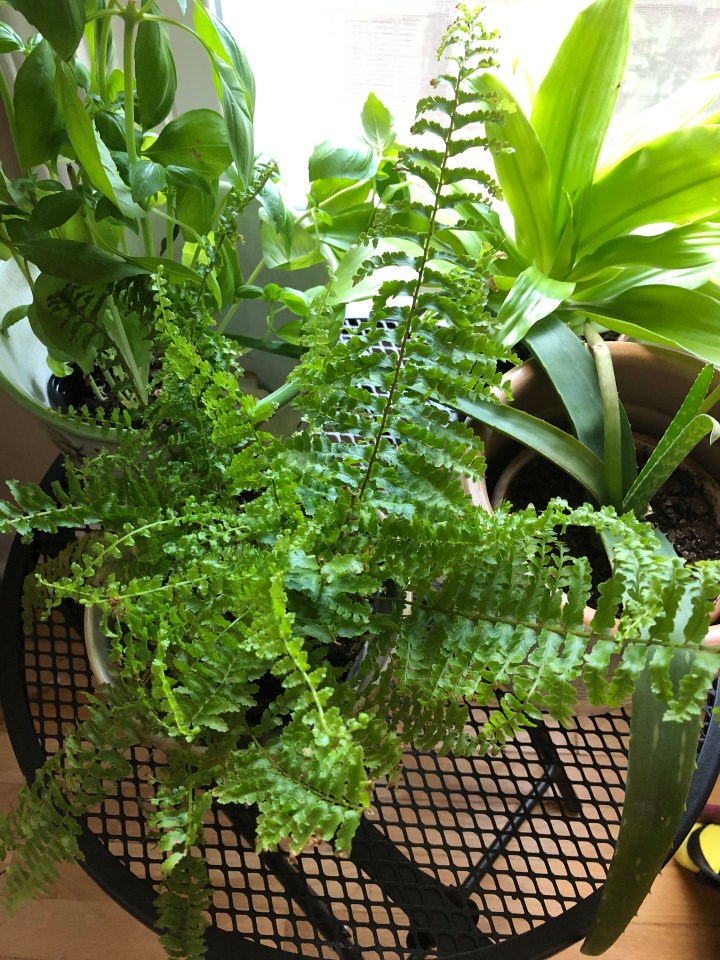 2ADF900F-C5C5-46E1-BD54-DB6F35D24B7C