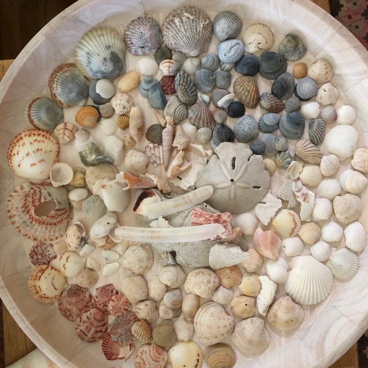 5D8A482F-922A-4852-A413-F1542D9616E2